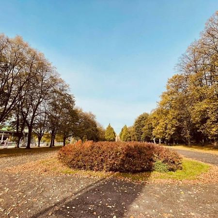 Apartamenty Ktw Silesia City Center - Park Slaski คาโตวีตเซ ภายนอก รูปภาพ