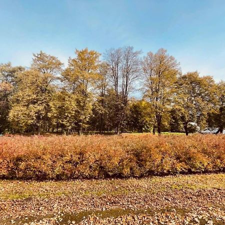 Apartamenty Ktw Silesia City Center - Park Slaski คาโตวีตเซ ภายนอก รูปภาพ