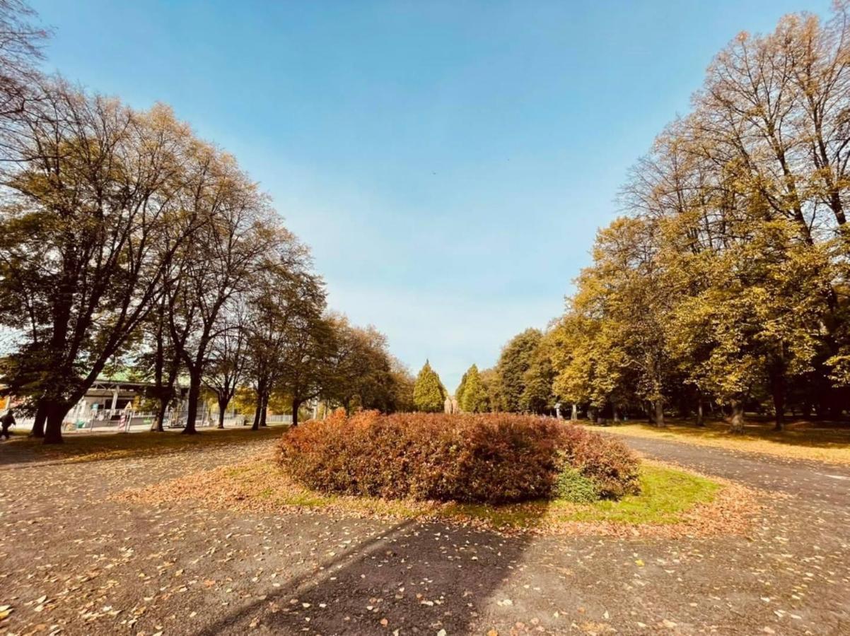 Apartamenty Ktw Silesia City Center - Park Slaski คาโตวีตเซ ภายนอก รูปภาพ